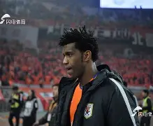 塔尔德拉似被动事实充满无奈