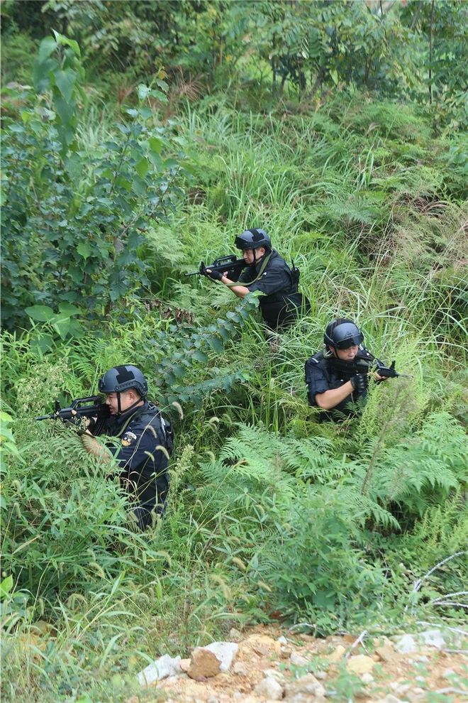 格雷纳贡获胜在望，气势如虹神勇作战